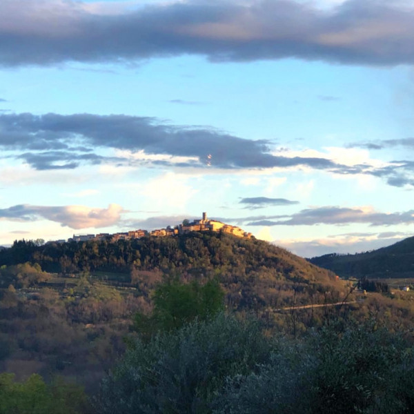 Beautiful stone villa in Istria with private pool, Villa Bazjaki, Istria  Livade